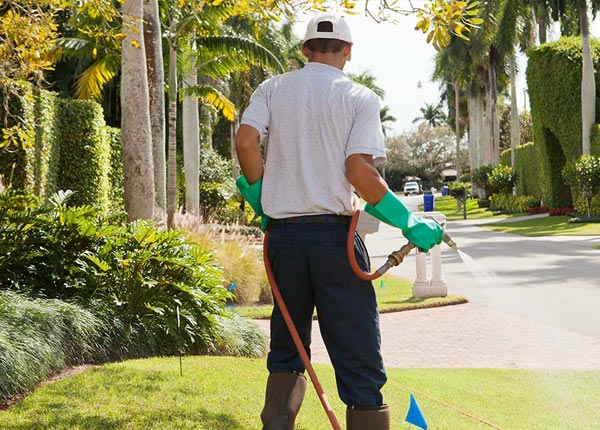 About Kaibeto AZ Pest Control